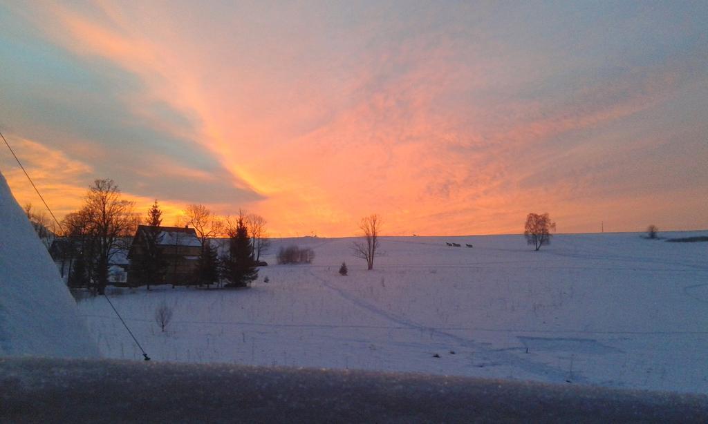Bed & Breakfast U Kosle