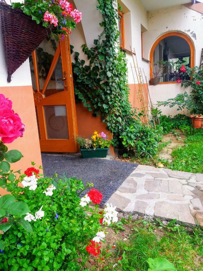 Bed and breakfast U Kosle